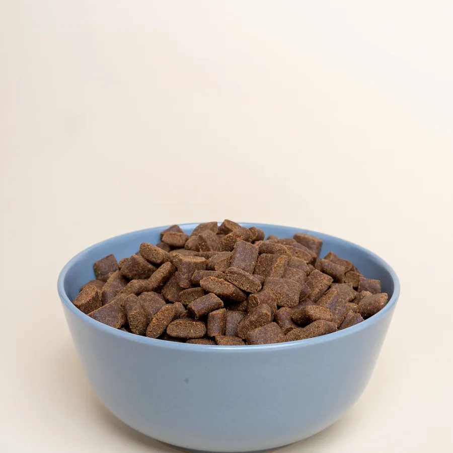 Tigela com ração representando produtos e alimentação para pets